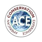 American Conservation Experience